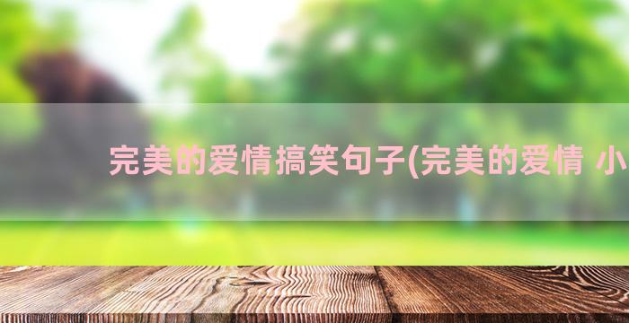 完美的爱情搞笑句子(完美的爱情 小说)